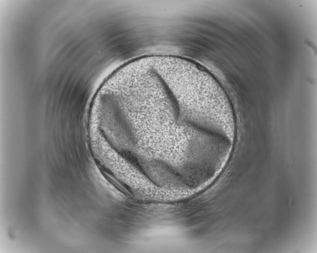 X0000102511248200808291727