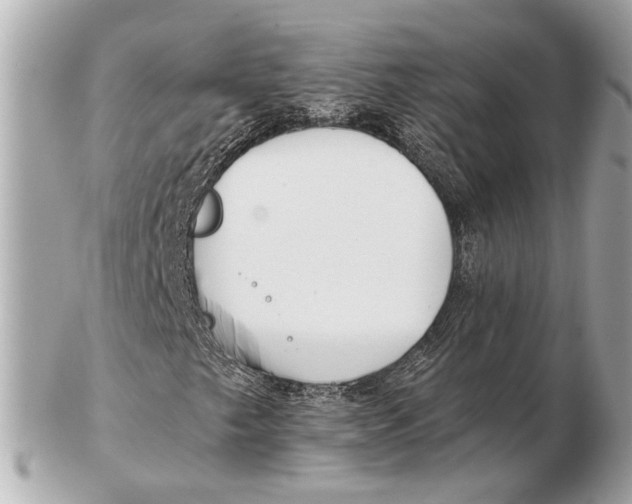 X0000102511249200808291726