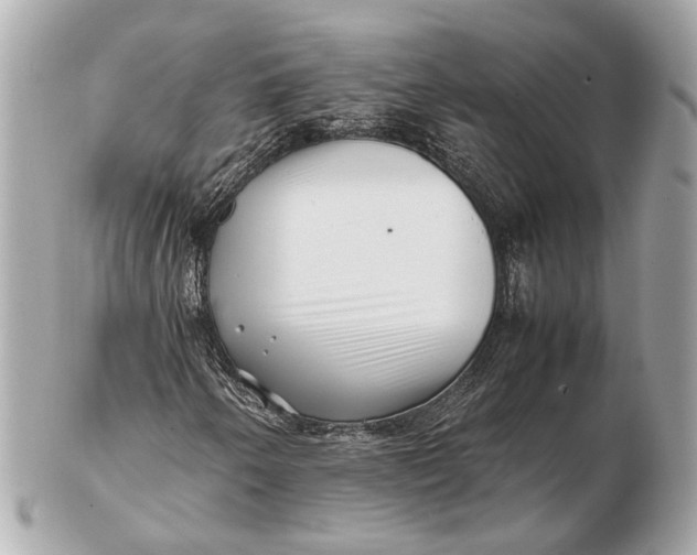 X0000102511250200808291726