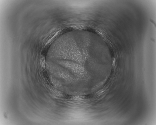 X0000102511251200808291726