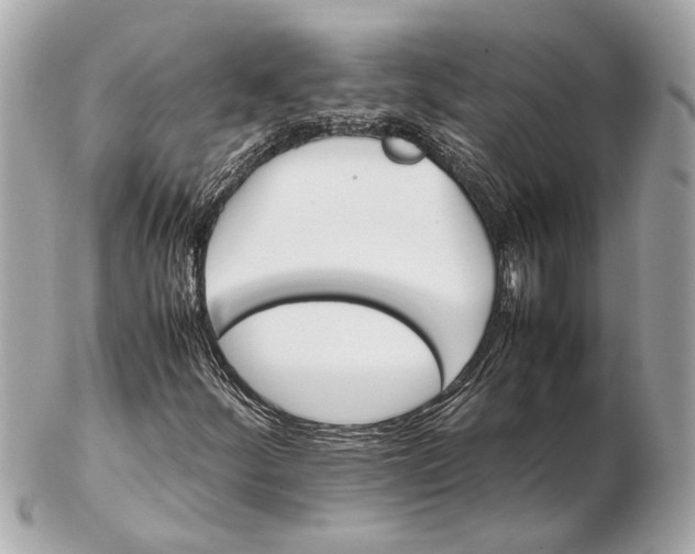 X0000102511252200808291726