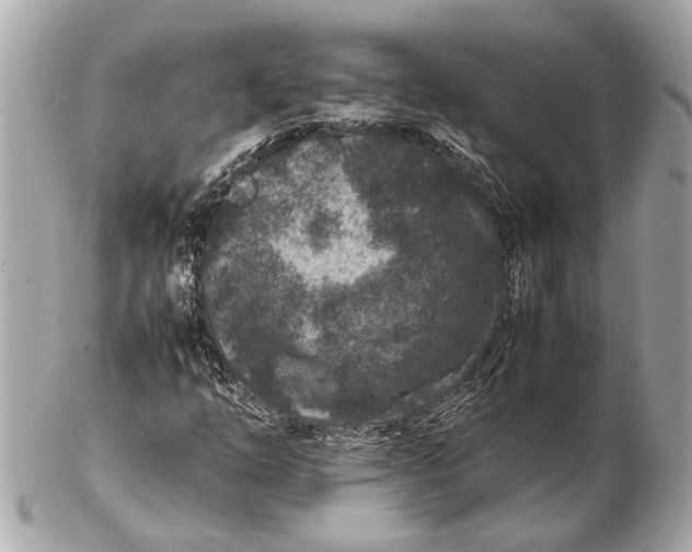 X0000102511254200808291726