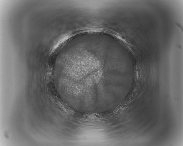 X0000102511255200808291726
