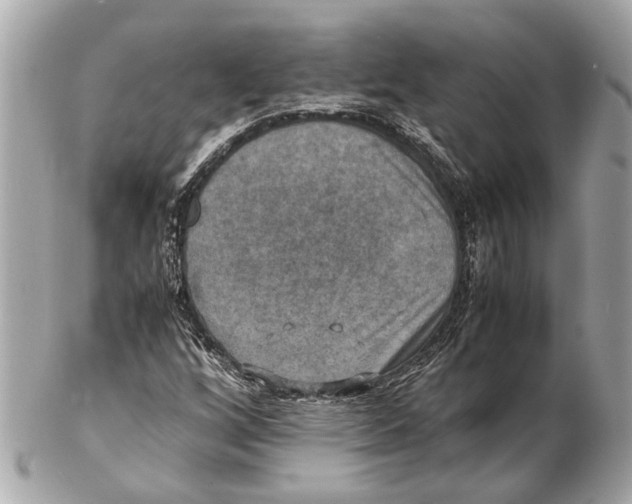 X0000102511256200808291726