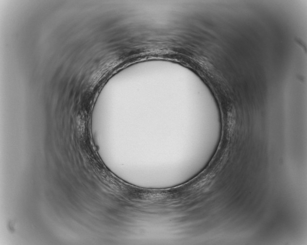 X0000102511257200808291726