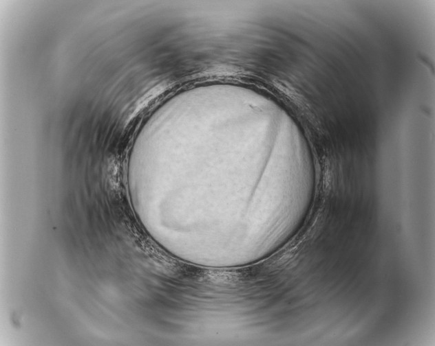 X0000102511258200808291726