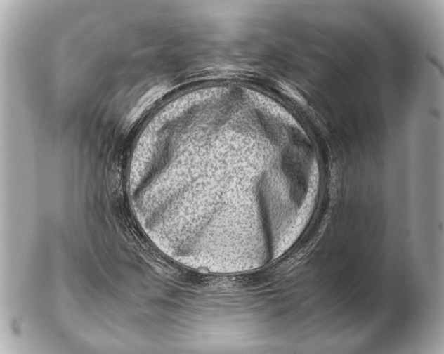 X0000102511259200808291726