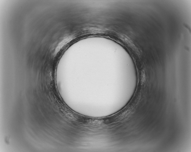 X0000102511261200808291726