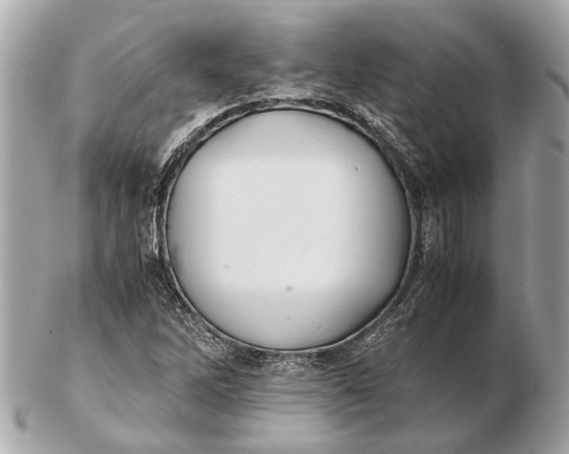 X0000102511262200808291726