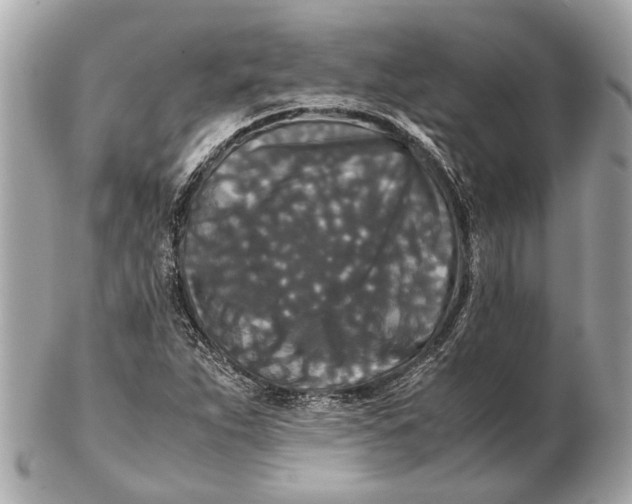 X0000102511263200808291726