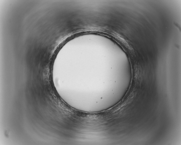 X0000102511264200808291726