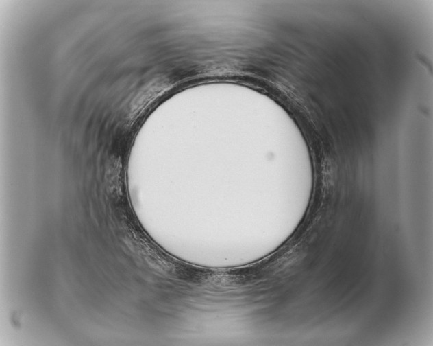 X0000102511265200808291726