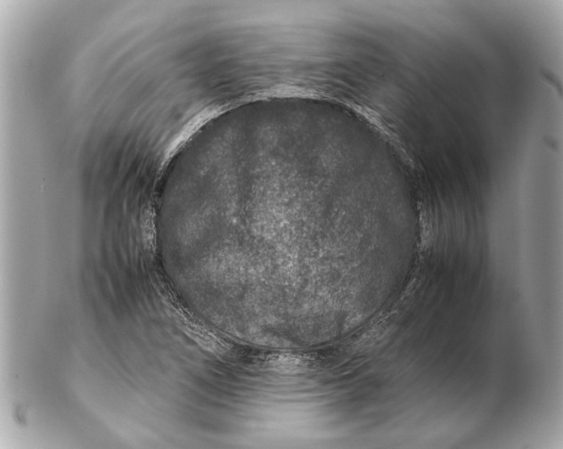 X0000102511266200808291726
