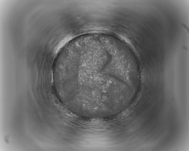 X0000102511267200808291726