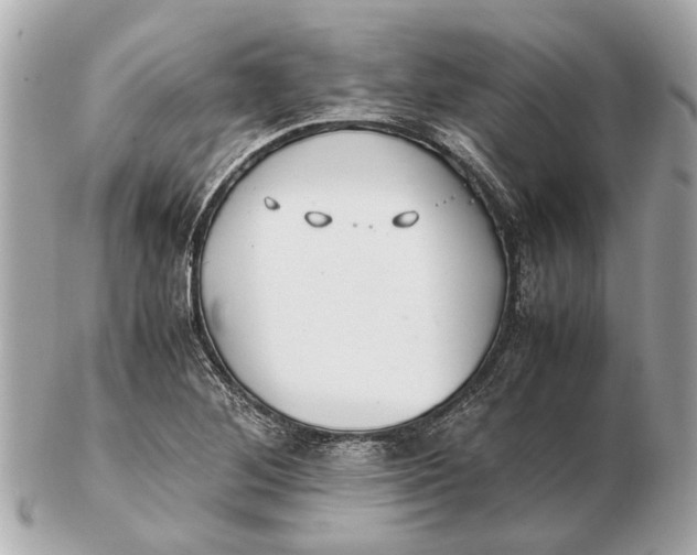 X0000102511268200808291726