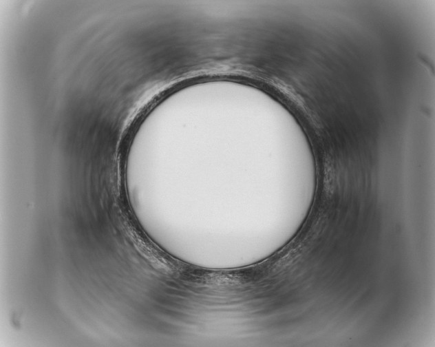 X0000102511270200808291726