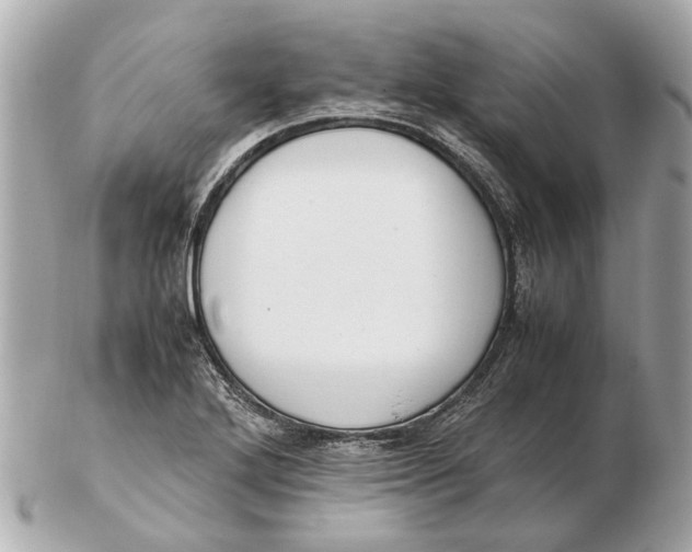 X0000102511272200808291725