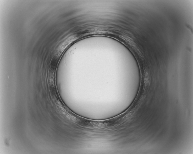 X0000102511273200808291725