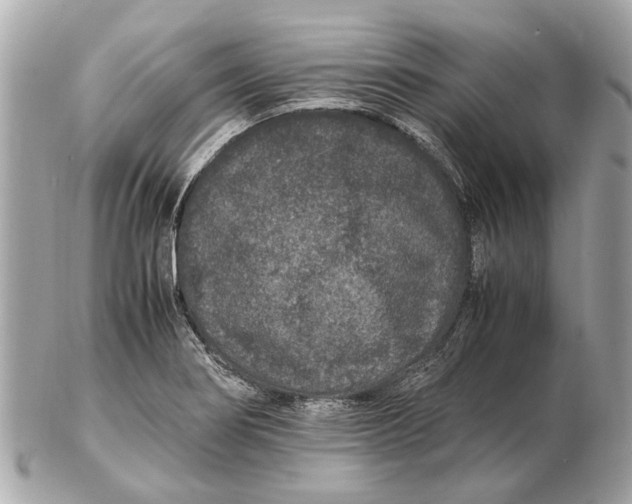 X0000102511274200808291725