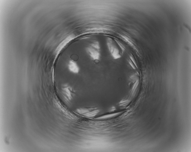 X0000102511275200808291725