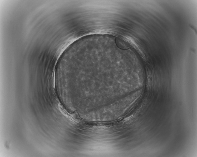 X0000102511276200808291725