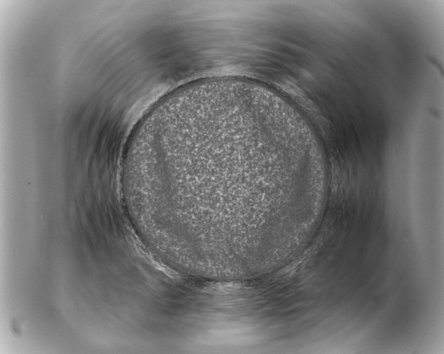 X0000102511278200808291725