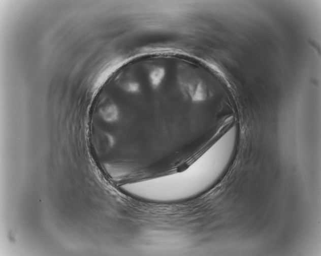 X0000102511279200808291725