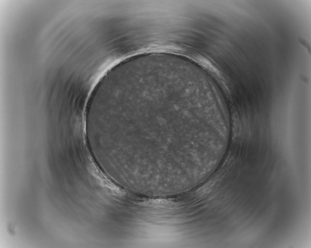 X0000102511280200808291725