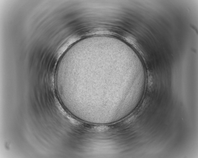 X0000102511282200808291725