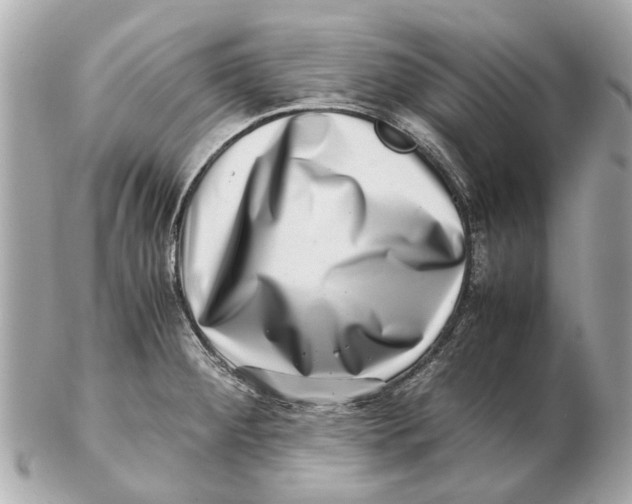 X0000102511284200808291725