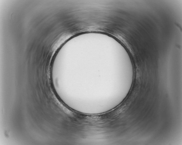 X0000102511285200808291725