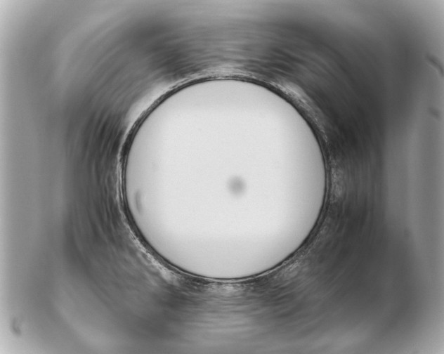 X0000102511286200808291725