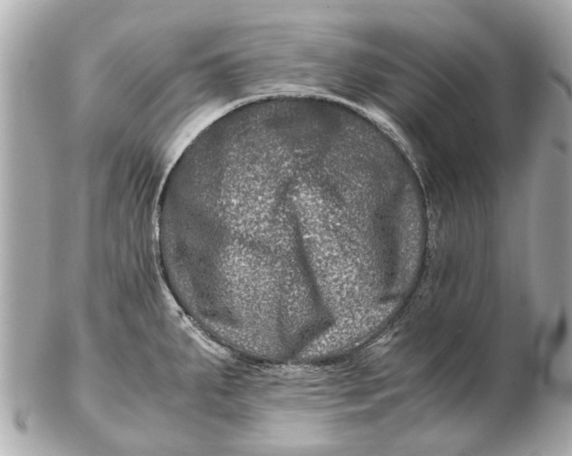X0000102511287200808291725