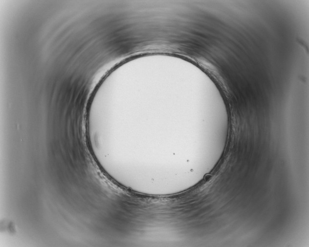 X0000102511288200808291725
