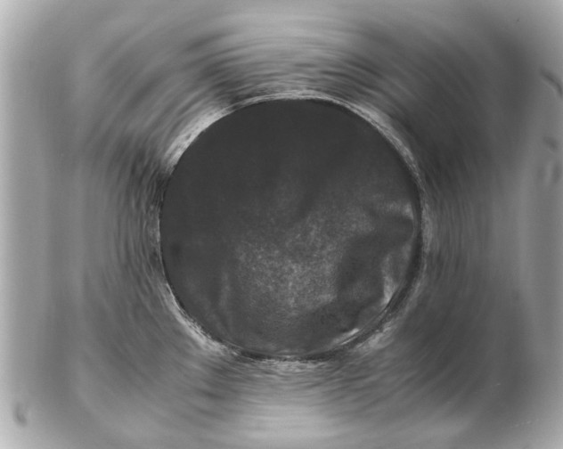 X0000102511289200808291725