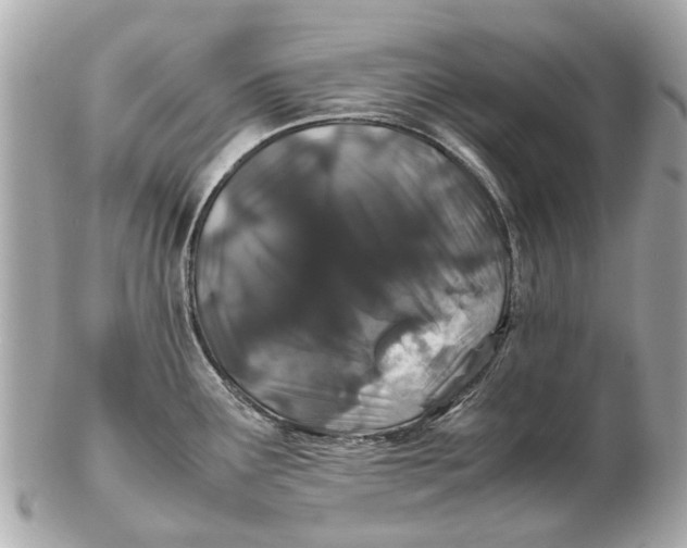X0000102511291200808291725
