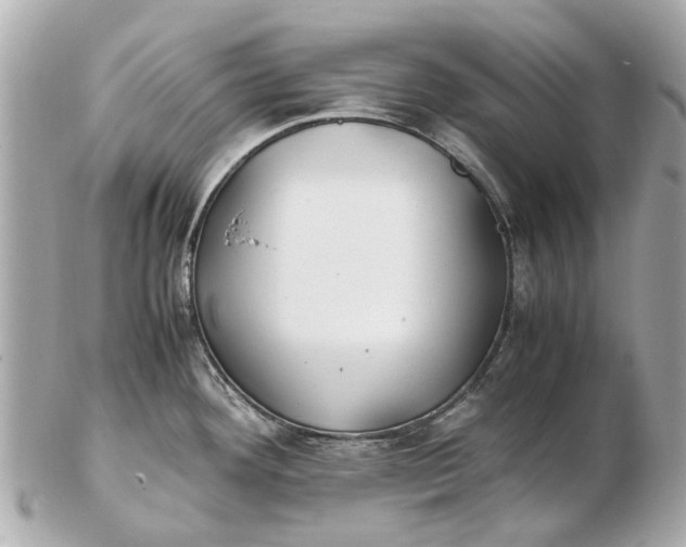 X0000102511292200808291725