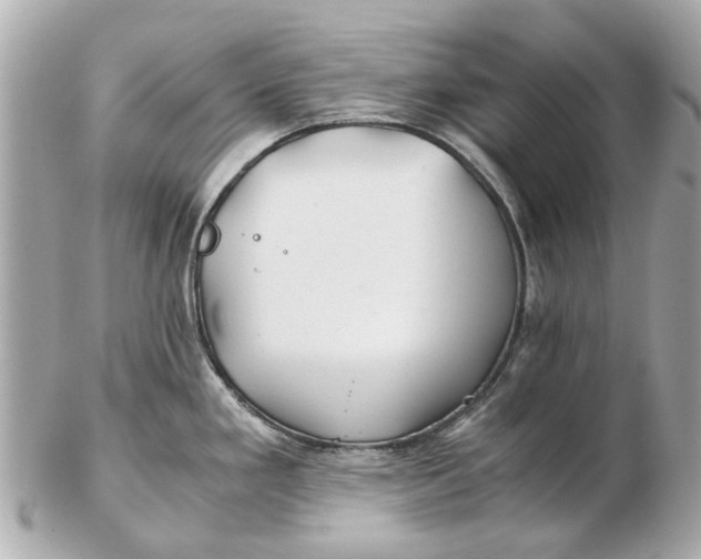 X0000102511293200808291725
