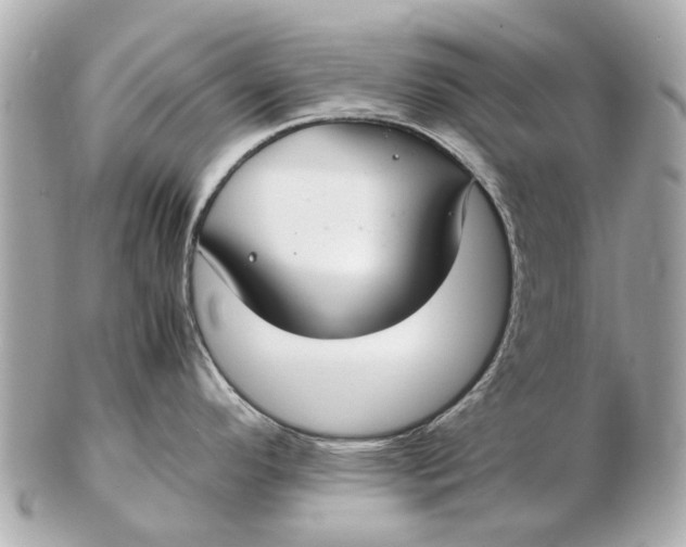 X0000102511296200808291725