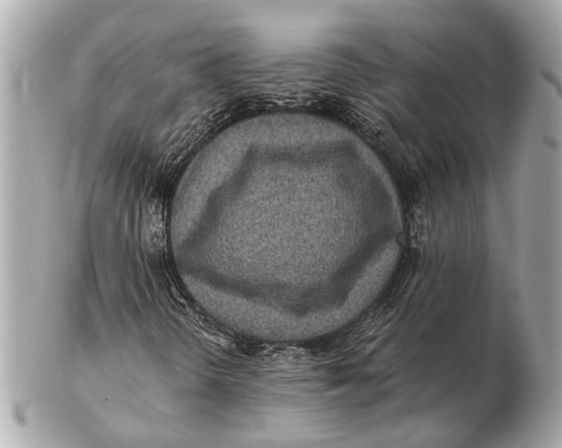 X0000102511298200808291724