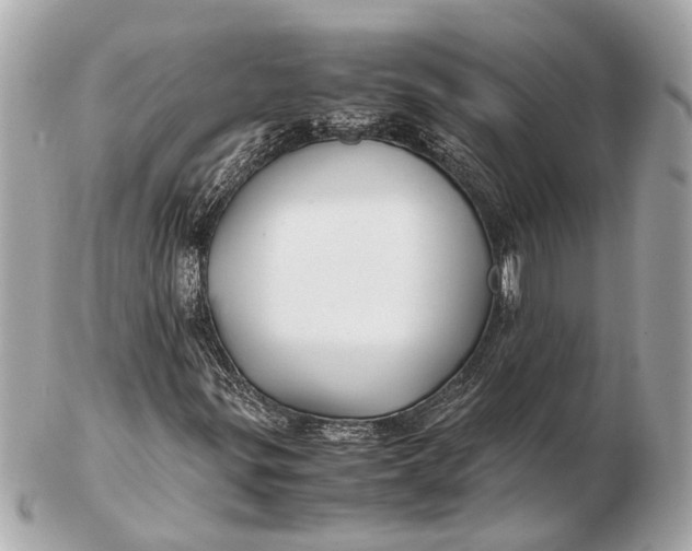 X0000102511299200808291724