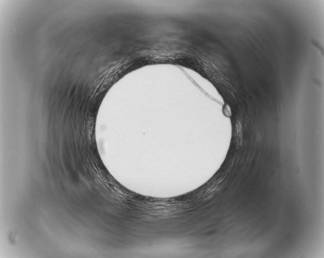 X0000102511300200808291724