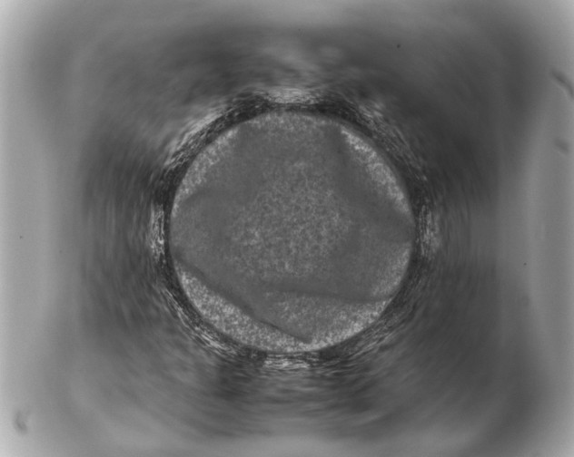 X0000102511301200808291724