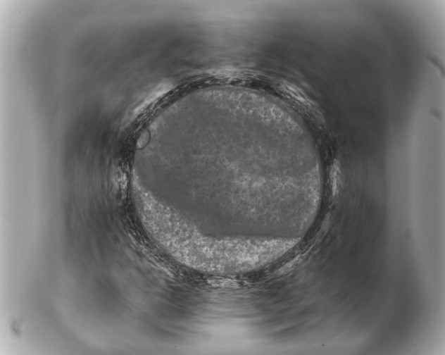 X0000102511302200808291724