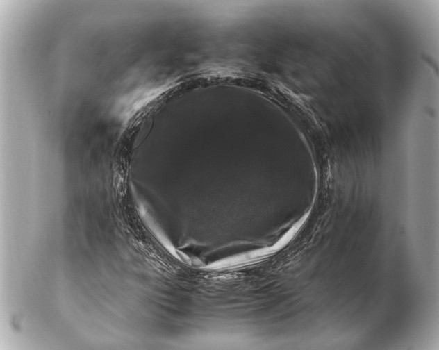 X0000102511303200808291724
