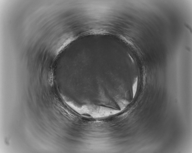 X0000102511306200808291724