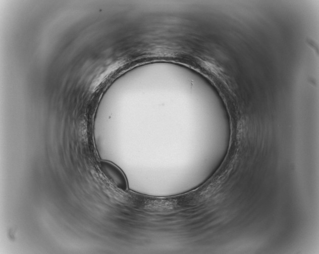 X0000102511307200808291724