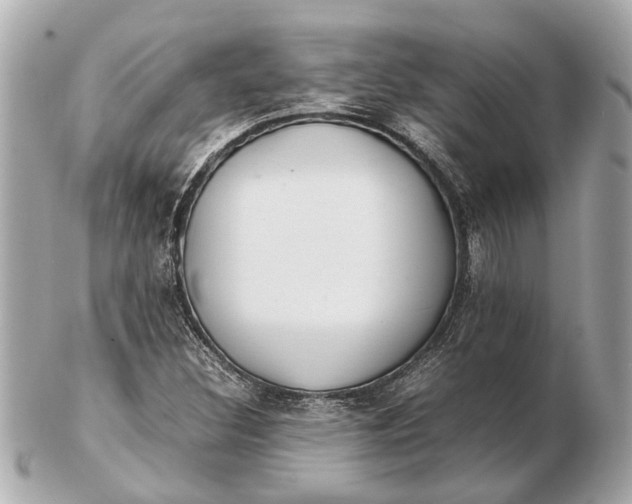 X0000102511308200808291724