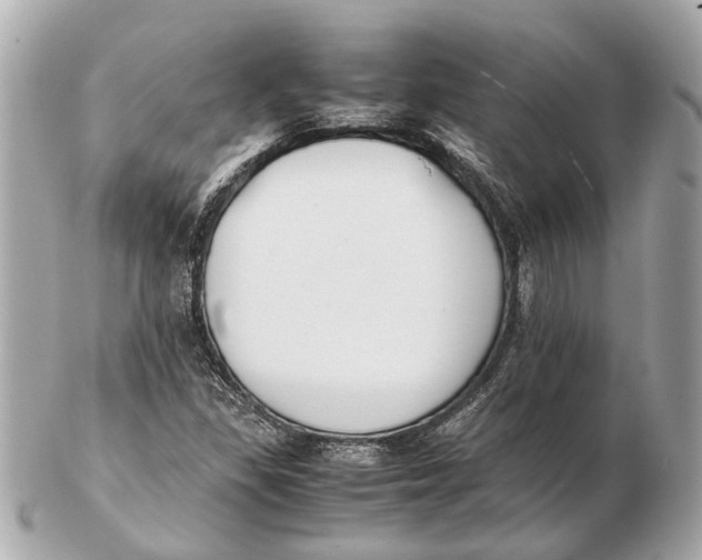 X0000102511309200808291724