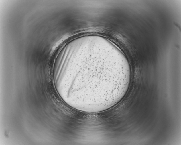 X0000102511310200808291725